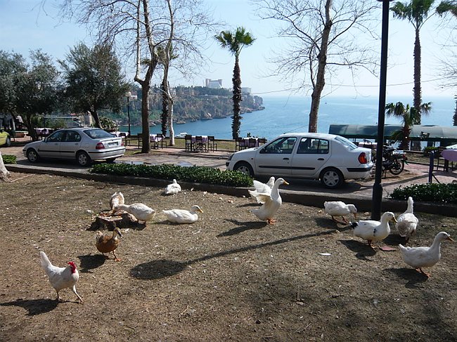 005P1030817.JPG