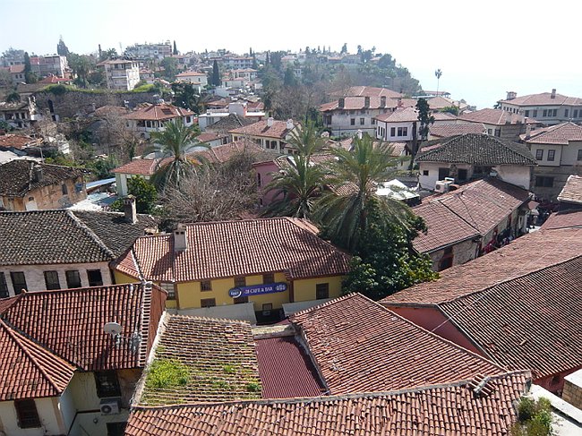 008P1030821.JPG