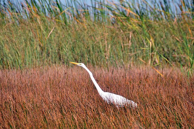 DSC_0269.JPG
