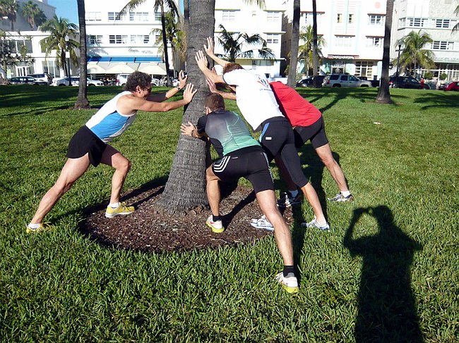 P1030638.JPG
