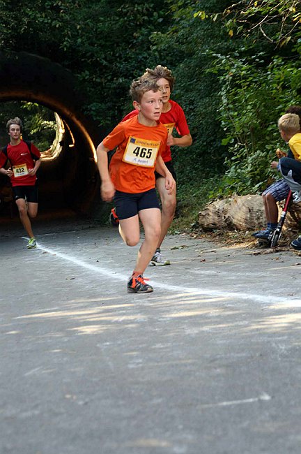 Lauf2011 186.jpg