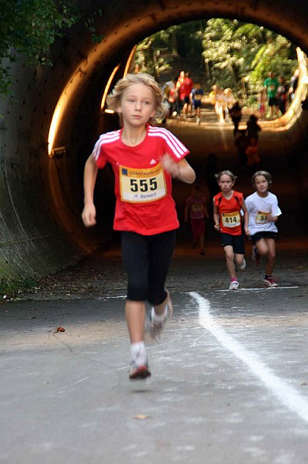 Lauf2011 032.jpg