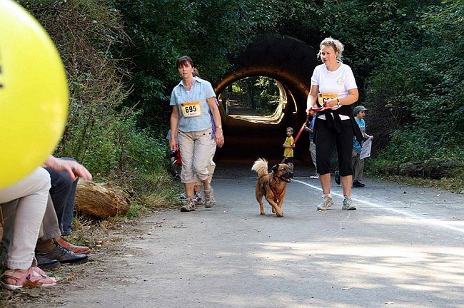 Lauf2011 283.jpg