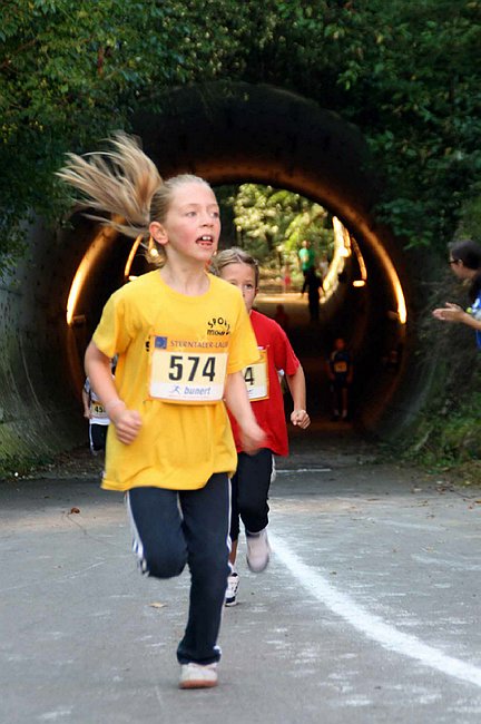 Lauf2011 037.jpg