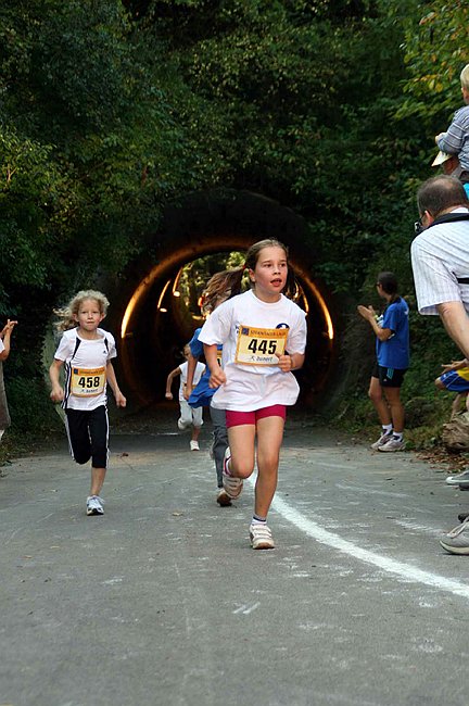Lauf2011 038.jpg