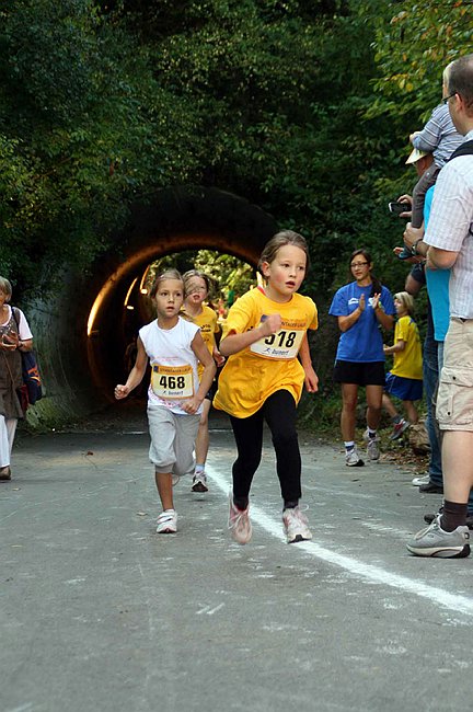Lauf2011 040.jpg