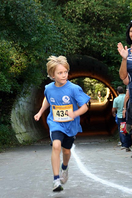 Lauf2011 065.jpg