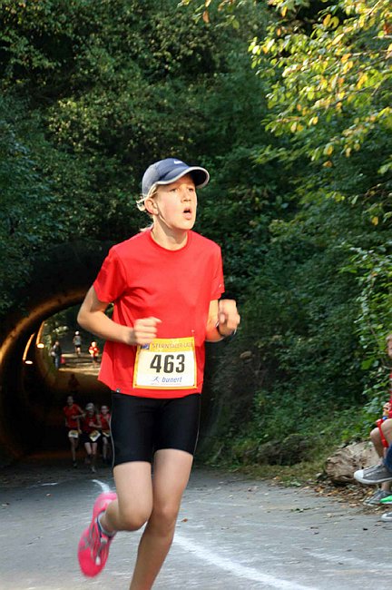 Lauf2011 114.jpg