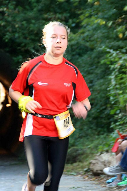 Lauf2011 120.jpg