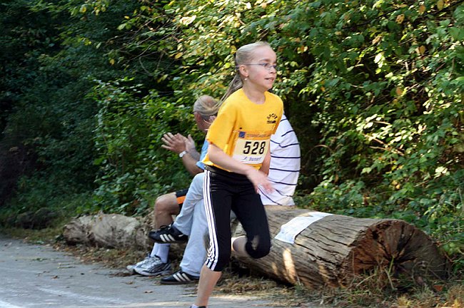 Lauf2011 148.jpg