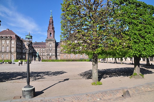D_DSC_9336.JPG