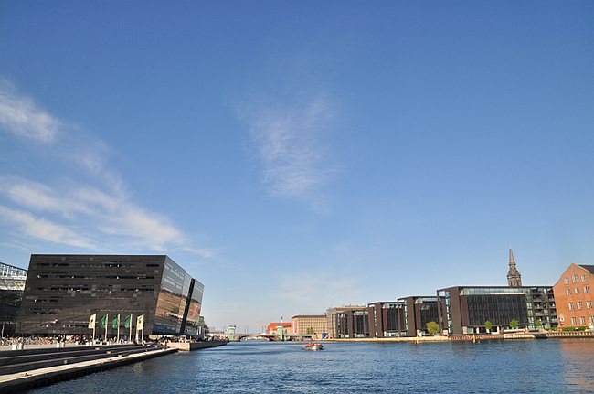 D_DSC_9341.JPG
