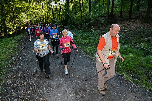 Sterntalerlauf_2013_0113.jpg