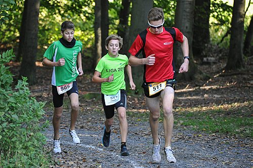 Sterntalerlauf_2013_0133.jpg