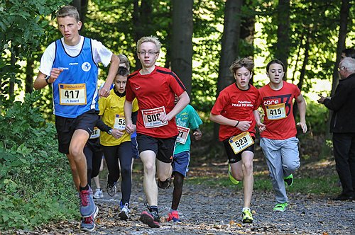 Sterntalerlauf_2013_0134.jpg