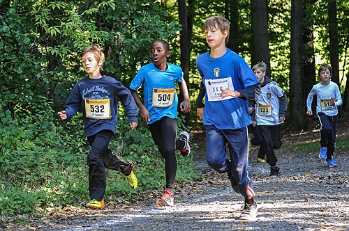 Sterntalerlauf_2013_0138.jpg