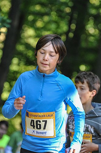 Sterntalerlauf_2013_0141.jpg