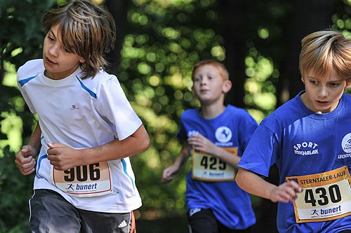 Sterntalerlauf_2013_0145.jpg