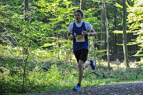 Sterntalerlauf_2013_0150.jpg