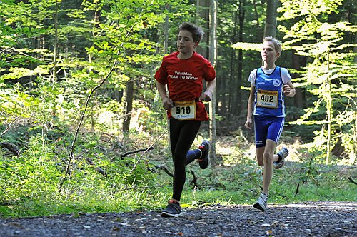 Sterntalerlauf_2013_0153.jpg