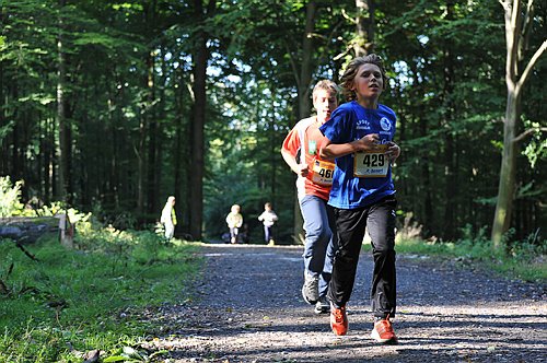 Sterntalerlauf_2013_0159.jpg