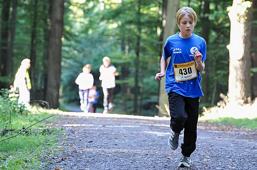Sterntalerlauf_2013_0165.jpg