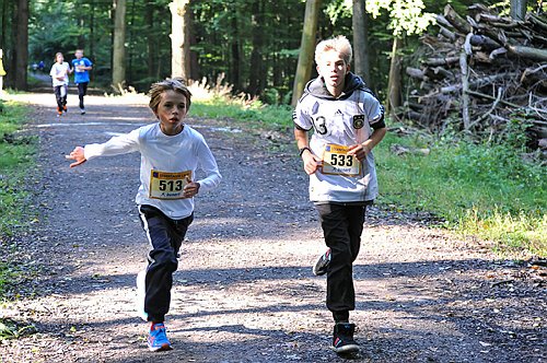 Sterntalerlauf_2013_0166.jpg