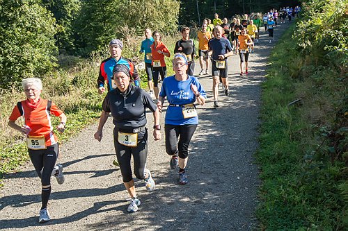 Sterntalerlauf_2013_0213.jpg