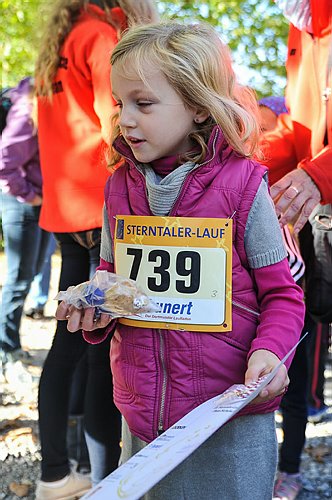 Sterntalerlauf_2013_0030.jpg