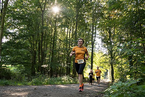 Sterntalerlauf_2013_0311.jpg