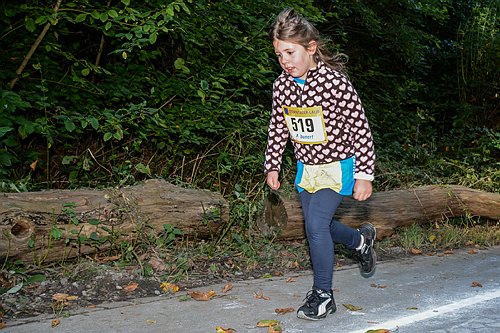 Sterntalerlauf_2013_0053.jpg