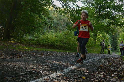 Sterntalerlauf_2013_0072.jpg