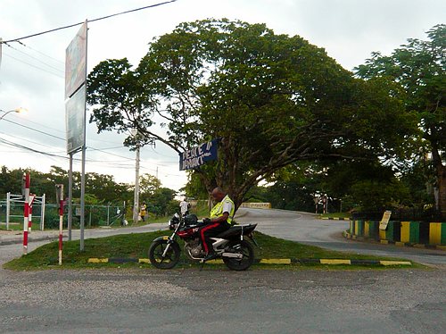 P1060919.JPG