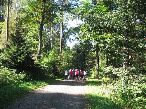 IMG_3894.JPG