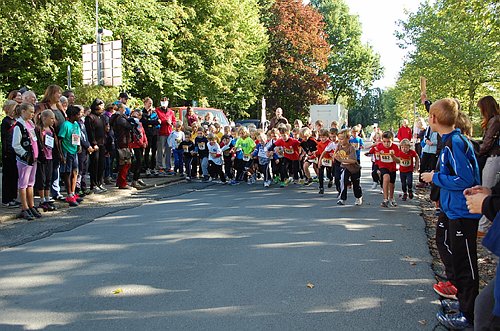 DSC_0198.JPG
