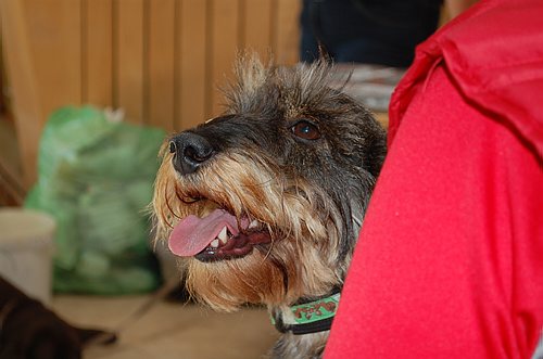 DSC_0327.JPG