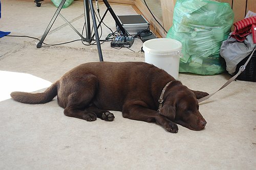 DSC_0328.JPG